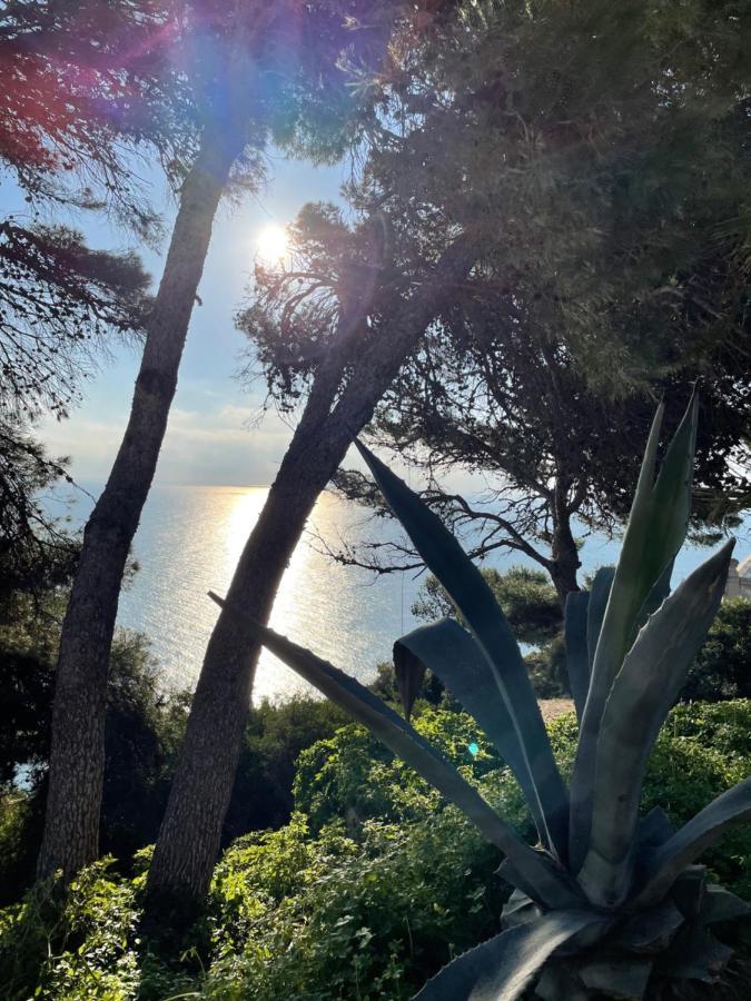 Casa Soluna Jávea Buitenkant foto